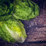 Wickeln Sie grünes Gemüse wie Salat in Aufbewahrungsbehälter mit zwei Schichten Küchenpapier. So gewährleisten Sie, dass das Grünzeug länger frisch und knackig bleibt. Das Papier saugt überflüssige Flüssigkeit auf, die den Salat ansonsten welk machen würden.