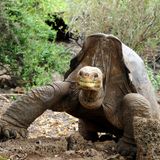 Der dramatische Erdreport in Bildern