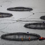 Der dramatische Erdreport in Bildern