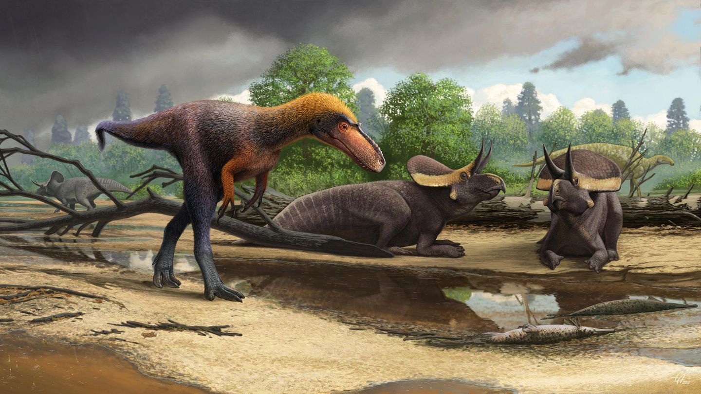 Die neu identifizierte Art Suskityrannus hazelae neben zwei anderen Dinosauriern.