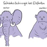 Cartoons von Dorthe Landschulz: Das ist der beste Job