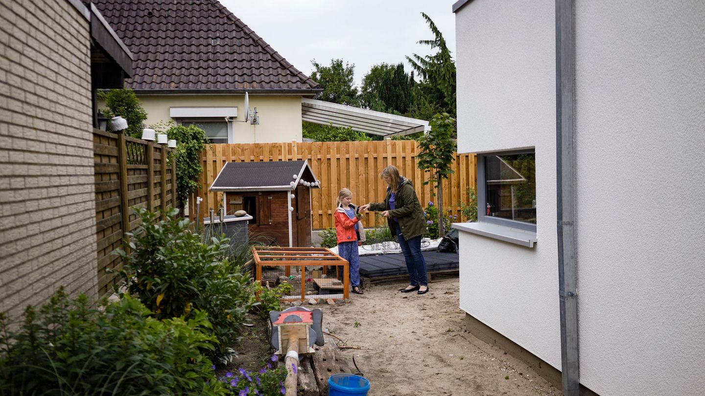 Organspende