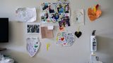 Organspende