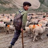 Tibet, 2002. "Es gibt wohl niemanden, der Mut und Durchhaltevermögen besser verkörpert als Steve McCurry", schreibt seine Schwester. Unter dem Schlagwort "Mut" finden sich in dem Band daher Portfolios von Menschen, "die Ausdauer und Entschlossenheit" repräsentieren. "Charakteristische Eigenschaften, die sich Steve sein Leben lang bewahrt hat", so Schwester Bonnie.
