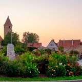 7. Lebendige Städte  Wer keinen Garten hat, kann in vielen Kommunen Patenschaften für Baumscheiben (das Grün um Stadtbäume) oder Verkehrsinseln übernehmen. Sinnvoll ist vor dem Säen und Pflanzen eine Erlaubnis vom Grünflächenamt, sonst kann die Pracht schnell wieder abgemäht sein. Bezugsadressen für regionales Blumensaatgut listet der Naturschutzbund auf www.nabu.de unter "Umwelt und Ressourcen/Ökologisch leben". Wer Bienen in der Stadt helfen will, kann bei "Deutschland summt" mitmachen, wo man Imkerkästen aufstellt und sich für insektenfreundliche Stadtplanung einsetzt.