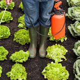 8. Weniger Gift  Auch wenn Bau- und Gartenmärkte ein ganzes Waffenarsenal bieten: Auf dem Acker mögen Insektizide oft nötiges Übel sein, in Privatgärten haben sie nichts verloren. Viele töten neben Blattläusen auch Käfer oder Bienen. Wer seine Pflanzen schützen will, bestellt im Gartenfachhandel Marienkäferlarven gegen Blattläuse oder Nematoden gegen Trauermücken. Im Haus hält ein Fliegengitter kleine Tiere effektiver ab als ein Spray. Vielleicht gewöhnen wir uns ja sogar an die ein oder andere Fliege in einer Stadtwohnung, statt gleich zur Klatsche zu greifen.