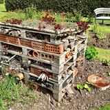 10. Nicht jedes Loch ist ein Hotel  Viele Insektenhotels aus dem Baumarkt sind eher tödliche Fallen. Die Löcher müssen sauber gebohrt sein, sonst zerreißen sich Wildbienen und Wespen ihre Flügel an Holzsplittern. Gebohrte Baumscheiben bekommen mit der Zeit Risse, über die Parasiten eindringen. Geeignet ist ein abgelagerter Hartholzblock mit sauber gefrästen Bohrlöchern (2 bis 8 mm Durchmesser, mindestens 6 cm tief, hinten geschlossen) oder ein Bündel glatt abgeschnittener Schilfrohrstängel.