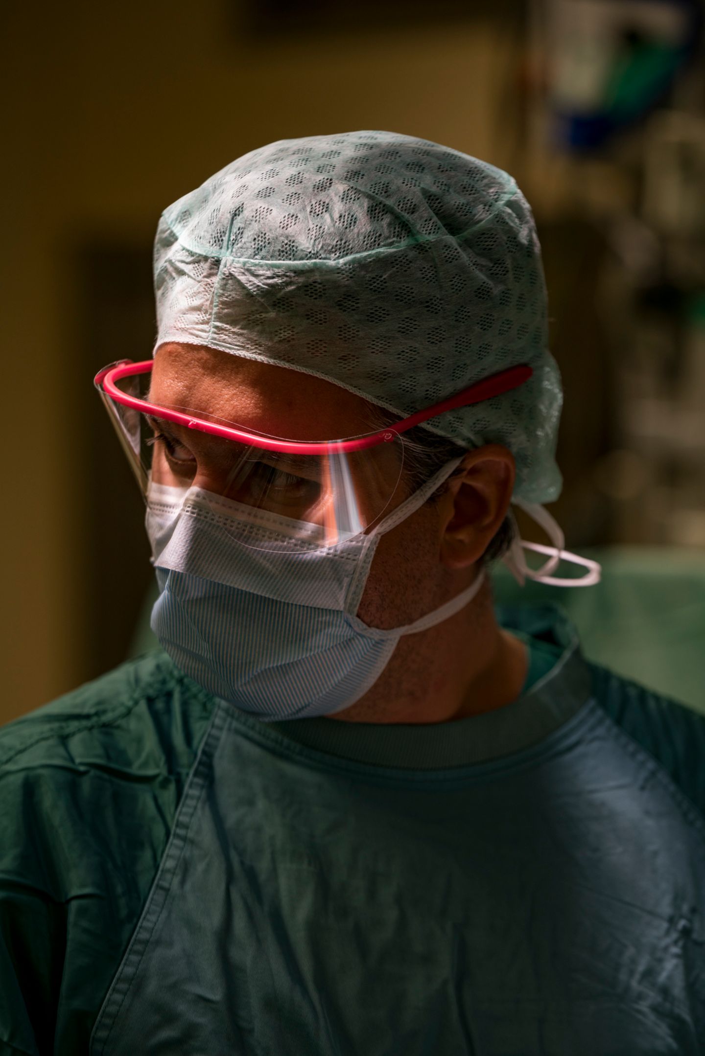 Organspende
