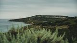Oristano