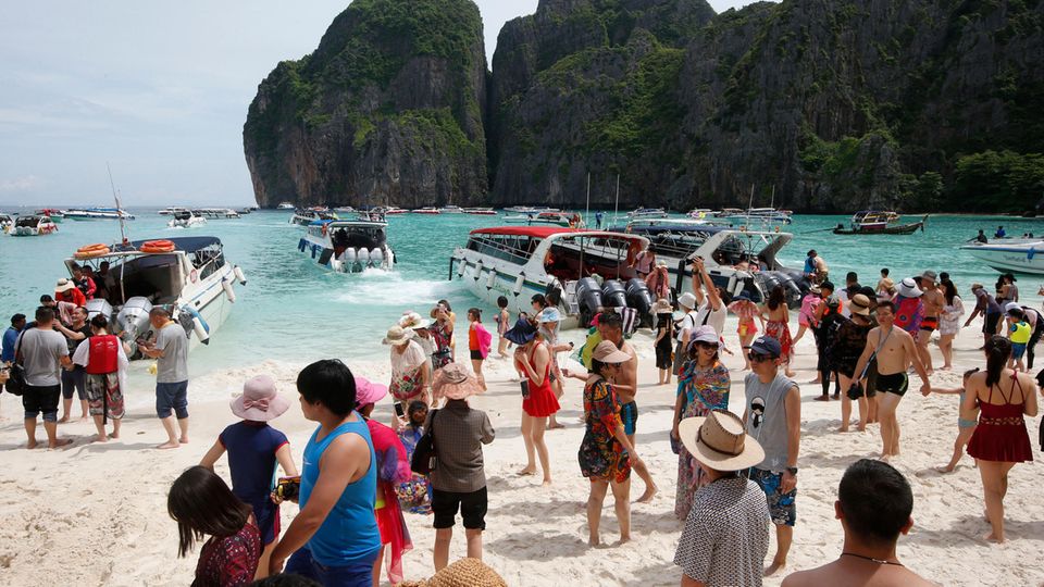 Ko Phi Phi Leh: Vor der Sperrung besuchten täglich im Schnitt 7000 Touristen Maya Bay Vor der Sperrung besuchten täglich im Schnitt 7000 Touristen Maya Bay