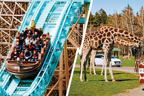 stern-Ranking: Spiel, Spaß und wilde Tiere – das sind die besten Freizeitparks in Deutschland