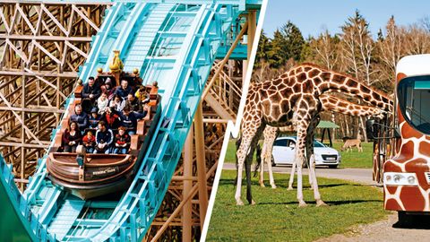 stern-Ranking: Spiel, Spaß und wilde Tiere – das sind die besten Freizeitparks in Deutschland