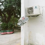 Ob die Klimaanlage hilft?