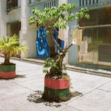 Nicht selten ist auch einiges an Kreativität im Spiel, wenn es darum geht, wo genau die Wäsche hingehängt wird