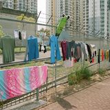 Auch Socken schaffen es in der asiatischen Metropole in den öffentlichen Raum