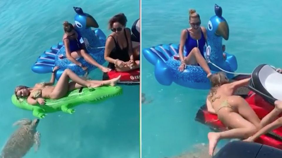 Urlaub auf den Bahamas: Schildkröte schnappt nach Bikini-Model