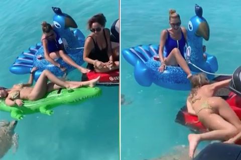 Urlaub auf den Bahamas: Schildkröte schnappt nach Bikini-Model