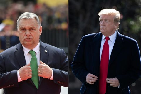 Brüder im Geiste: Ungarns Ministerpräsident Viktor Orban (l.) und US-Präsident Donald Trump (r.)