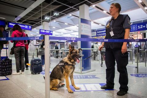 Der Schäferhund Luke trägt ein Geschirr mit der Aufschrift "Zoll". Er wird von Hundeführerin Sabine Mohre an der Leine gehalten.