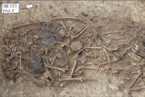 Die Überreste von 15 Menschen, die vor 5000 Jahren ermordet wurden