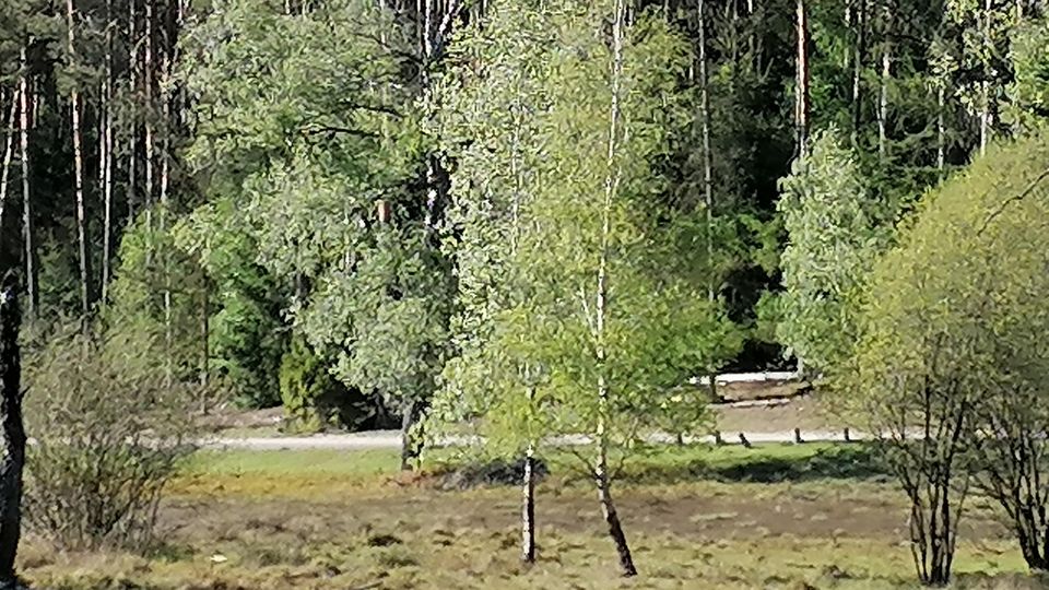 Huawei P30 lite: 6-fach Zoom