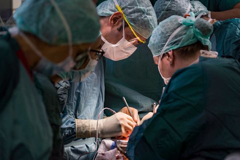 Organspende: Herzchirurg erklärt die Schwierigkeiten einer Herztransplantation