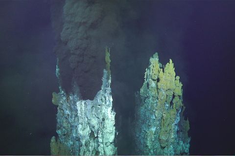 Zwei Tiefsee-Schlote auf dem Grund des Marianengraben im Pazifik: Hier wurde nun Plastikmüll entdeckt.