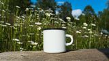 Weißer Becher aus Emaille vor einer Blumenwiese.