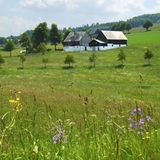 Kammweg Erzgebirge-Vogtland