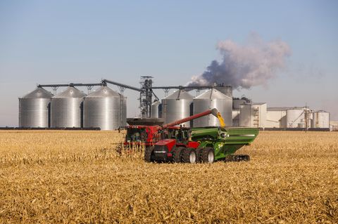 Nebraska: Farmer amputiert nach verhängnisvollem Arbeitsunfall eigenes Bein mit Taschenmesser