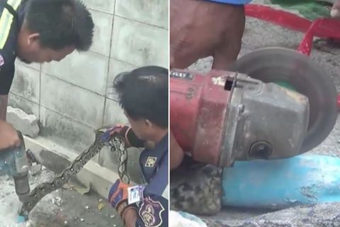 Rettungsaktion in Thailand: Missliche Lage: Python steckt in Abflussrohr fest - Helfer rücken mit Kreissäge an
