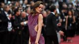 Cannes 2019 Izabel Goulart