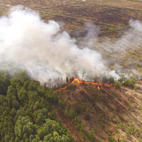 Esterwegen, Deutschland. Das Drohnenfoto der Feuerwehr zeigt eine Moorfläche, die in Flammen steht. In einem Torfabbaugebiet nördlich von Esterwegen  war am 14. Mai 2019 ein Feuer ausgebrochen. Die Flammen hatten sich laut Polizei zwischenzeitlich auf eine Fläche von 20 bis 30 Hektar ausgedehnt. Doch laut der Feuerwehr ist der Brand inzwischen unter Kontrolle. Anders als im vergangenen Herbst in Meppen hat sich das Feuer nicht in die Tiefe gefressen, weil der Boden dort zu nass ist.