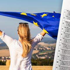 Europawahl Wahlprogramme Wahl-O-Mat EuroMat