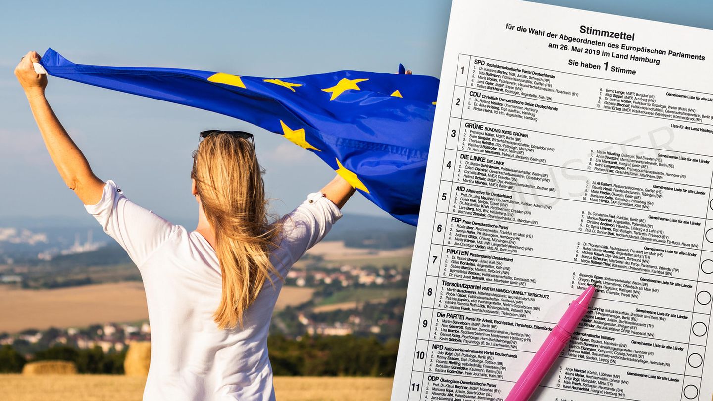 Europawahl Wahlprogramme Wahl-O-Mat EuroMat