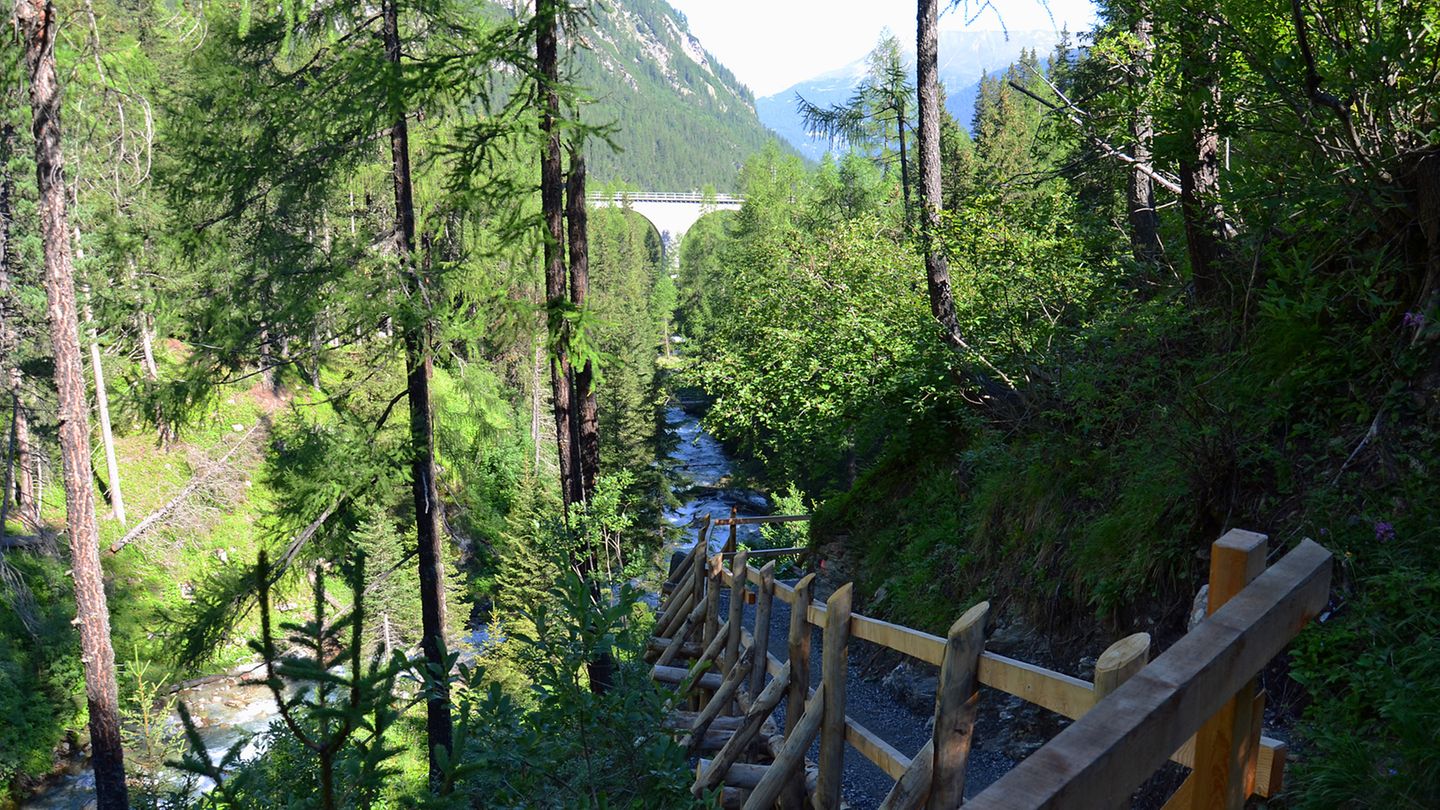 Schweizer Bahnerlebnisweg Albula: Durch Lärchenwälder und dicht an rauschenden Bächen geht es hinab. Auf mehreren Ebenen kann man die Züge beobachten: Plötzlich verschwinden sie in einem Tunnel und tauchen nach mehreren Minuten der Stille viel weiter oben im Tal auf einem anderen Streckenabschnitt wieder auf. Durch Lärchenwälder und dicht an rauschenden Bächen geht es hinab. Auf mehreren Ebenen kann man die Züge beobachten: Plötzlich verschwinden sie in einem Tunnel und tauchen nach mehreren Minuten der Stille viel weiter oben im Tal auf einem anderen Streckenabschnitt wieder auf.