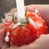 Tomaten lassen sich am einfachsten unter fließendem Wasser abspülen und im Anschluss mit einem sauberen Tuch trockenrubbeln. Sehr reife und entsprechend weiche Tomaten erfordern etwas mehr Fingerspitzengefühl.