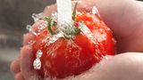 Tomaten lassen sich am einfachsten unter fließendem Wasser abspülen und im Anschluss mit einem sauberen Tuch trockenrubbeln. Sehr reife und entsprechend weiche Tomaten erfordern etwas mehr Fingerspitzengefühl.