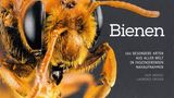 Bienen  Von Sam Droege und Laurence Packer  Normalerweise spricht der Bienen-Experte vom "Bien", dem Superorganismus aus zehntausenden Bienen. In diesem Bildband hingegen steht die einzelne Biene im Wortsinn im Focus. Die Insektenforscher Sam Droege und Laurence Packer haben die Vertreterinnen von 104 unterschiedlichen Bienenarten zum Porträt vor die Kamera gebeten. Eine erstaunliche Bildreihe, denn die meisten Bienenrassen haben äußerlich mit der europäischen Honigbiene kaum etwas gemein. So ist eine Art grün, heißt Prachtbiene, erinnert indes an an eine Schmeißfliege, andere wie die Fleckenbiene sind schwarz-weiß und pelzig. Die Vielfalt ist erstaunlich und mitunter sogar etwas gruselig.  