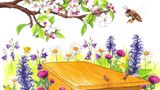 Die Bienenkiste  Von Erhard M. Klein  Wer aktiv gegen das Bienensterben und für die Natur etwas tun möchte, kann sich eine sogenannte Bienenkiste in den Garten stellen und selbst in die Imkerei einsteigen. Im Gegensatz zu den weithin üblichen Bienenstöcken der professionellen Imker, bauen die Bienen in diesen Kisten so, wie sie es auch in der Natur tun würden. Für die Honiggewinnung sind diese Beuten daher weniger geeignet, weil die Bienen ihre Brut oft zwischen die Honigwaben legen. Die Kiste, die Imker-Grundausrüstung und natürlich das Volk samt Königin sind eine Investition von ein paar hundert Euro. Vom Zeitaufwand ganz zu schweigen. Wer sich für die Bienenkiste interessiert, sich aber noch nicht sicher ist, sollte zunächst einen Blick in dieses Buch werfen. Der zweite Schritt wäre dann ein Imker-Seminar oder die Mitgliedschaft in einem Verein wie die Stadtbienen. Keine Bange: Selbst wenn die Kiste neben Ihrer Terrasse oder auf dem Balkon steht, werden sie von den fleißigen Insekten nicht behelligt. Die haben Futterquellen, die verlockender sind als ein Marmeladenbrot.