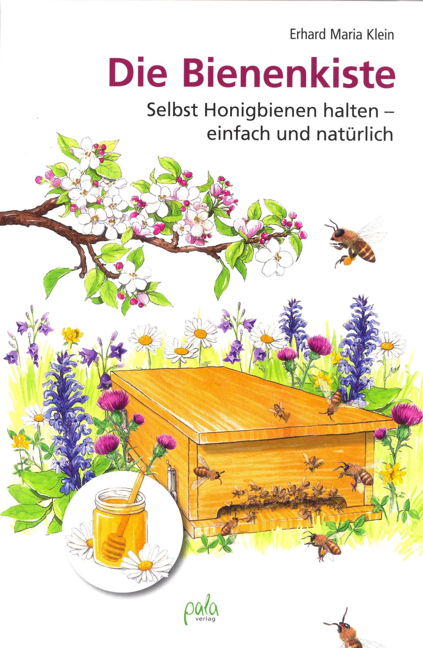 Hobby-Imkern: Die Bienenkiste Von Erhard M. Klein Wer aktiv gegen das Bienensterben und für die Natur etwas tun möchte, kann sich eine sogenannte Bienenkiste in den Garten stellen und selbst in die Imkerei einsteigen. Im Gegensatz zu den weithin üblichen Bienenstöcken der professionellen Imker, bauen die Bienen in diesen Kisten so, wie sie es auch in der Natur tun würden. Für die Honiggewinnung sind diese Beuten daher weniger geeignet, weil die Bienen ihre Brut oft zwischen die Honigwaben legen. Die Kiste, die Imker-Grundausrüstung und natürlich das Volk samt Königin sind eine Investition von ein paar hundert Euro. Vom Zeitaufwand ganz zu schweigen. Wer sich für die Bienenkiste interessiert, sich aber noch nicht sicher ist, sollte zunächst einen Blick in dieses Buch werfen. Der zweite Schritt wäre dann ein Imker-Seminar oder die Mitgliedschaft in einem Verein wie die Stadtbienen. Keine Bange: Selbst wenn die Kiste neben Ihrer Terrasse oder auf dem Balkon steht, werden sie von den fleißigen Insekten nicht behelligt. Die haben Futterquellen, die verlockender sind als ein Marmeladenbrot. Die Bienenkiste Von Erhard M. Klein Wer aktiv gegen das Bienensterben und für die Natur etwas tun möchte, kann sich eine sogenannte Bienenkiste in den Garten stellen und selbst in die Imkerei einsteigen. Im Gegensatz zu den weithin üblichen Bienenstöcken der professionellen Imker, bauen die Bienen in diesen Kisten so, wie sie es auch in der Natur tun würden. Für die Honiggewinnung sind diese Beuten daher weniger geeignet, weil die Bienen ihre Brut oft zwischen die Honigwaben legen. Die Kiste, die Imker-Grundausrüstung und natürlich das Volk samt Königin sind eine Investition von ein paar hundert Euro. Vom Zeitaufwand ganz zu schweigen. Wer sich für die Bienenkiste interessiert, sich aber noch nicht sicher ist, sollte zunächst einen Blick in dieses Buch werfen. Der zweite Schritt wäre dann ein Imker-Seminar oder die Mitgliedschaft in einem Verein wie die Stadtbienen. Keine Bange: Selbst wenn die Kiste neben Ihrer Terrasse oder auf dem Balkon steht, werden sie von den fleißigen Insekten nicht behelligt. Die haben Futterquellen, die verlockender sind als ein Marmeladenbrot.