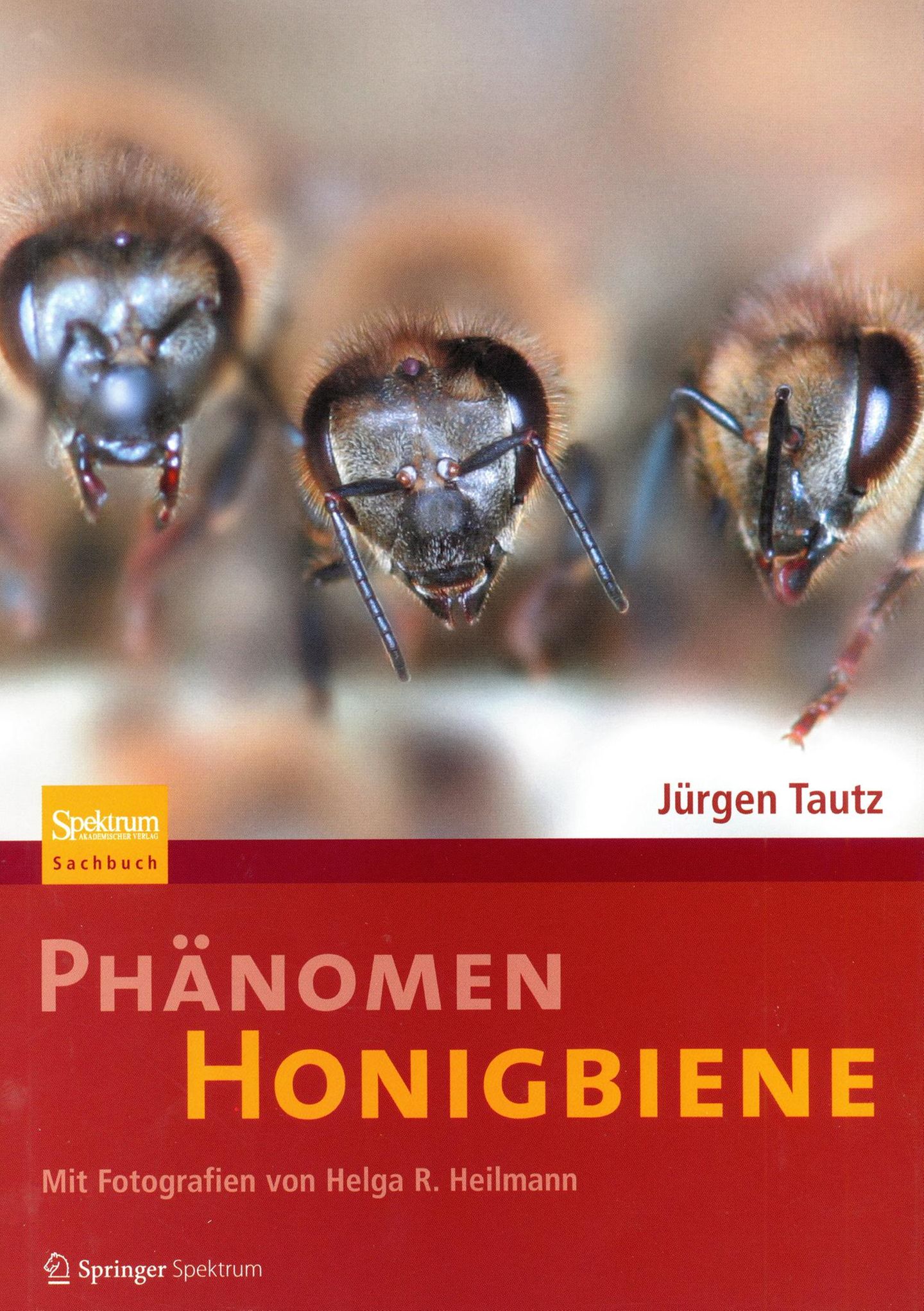 Phänomen Honigbiene  Von Jürgen Tautz      Jetzt wird es wissenschaftlich. Jürgen Tautz war Professor am Biozentrum, der Bayrischen Julius-Maximilians-Universität Würzburg. Von Haus aus ist er Verhaltensforscher und hatte mit Bienen nichts am Hut bis ihm ein Kollege ein Volk in den Garten stellte. Er würde schon sehen, die Bienen seien eine interessante Sache. Tautz packten die Tiere so sehr, dass Bienen sein Forschungsschwerpunkt und er über die Jahre ein international anerkannter Bienen-Experte wurde. Wem andere Bücher zu sehr an der Oberfläche kratzen, kann hier tiefer in die wissenschaftliche Welt der Bienen eintauchen. Hier geht es nicht um die Honiggewinnung, sondern um die einzelnen Körperfunktionen des Superorganismus Honigbiene.