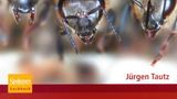 Phänomen Honigbiene  Von Jürgen Tautz      Jetzt wird es wissenschaftlich. Jürgen Tautz war Professor am Biozentrum, der Bayrischen Julius-Maximilians-Universität Würzburg. Von Haus aus ist er Verhaltensforscher und hatte mit Bienen nichts am Hut bis ihm ein Kollege ein Volk in den Garten stellte. Er würde schon sehen, die Bienen seien eine interessante Sache. Tautz packten die Tiere so sehr, dass Bienen sein Forschungsschwerpunkt und er über die Jahre ein international anerkannter Bienen-Experte wurde. Wem andere Bücher zu sehr an der Oberfläche kratzen, kann hier tiefer in die wissenschaftliche Welt der Bienen eintauchen. Hier geht es nicht um die Honiggewinnung, sondern um die einzelnen Körperfunktionen des Superorganismus Honigbiene.