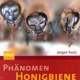 Phänomen Honigbiene  Von Jürgen Tautz      Jetzt wird es wissenschaftlich. Jürgen Tautz war Professor am Biozentrum, der Bayrischen Julius-Maximilians-Universität Würzburg. Von Haus aus ist er Verhaltensforscher und hatte mit Bienen nichts am Hut bis ihm ein Kollege ein Volk in den Garten stellte. Er würde schon sehen, die Bienen seien eine interessante Sache. Tautz packten die Tiere so sehr, dass Bienen sein Forschungsschwerpunkt und er über die Jahre ein international anerkannter Bienen-Experte wurde. Wem andere Bücher zu sehr an der Oberfläche kratzen, kann hier tiefer in die wissenschaftliche Welt der Bienen eintauchen. Hier geht es nicht um die Honiggewinnung, sondern um die einzelnen Körperfunktionen des Superorganismus Honigbiene.