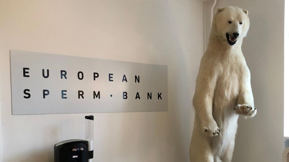 Der Eisbär im Eingangsbereich der European Sperm Bank in Kopenhagen