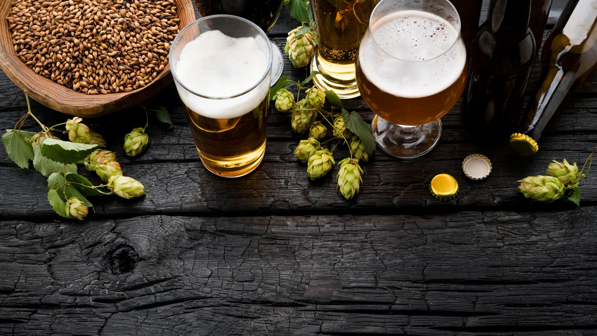 Brew Monkey® Bierbrauset Weissbier | Komplett Set 5 Liter Bier | 5,7% Vol.  | Bier Brauen in der Küche | Bier Brauen Set zum Selber Brauen 