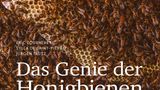Viele weitere spektakuläre Fotos vom französischen Fotografen Eric Tourneret über das Leben der Bienen gibt es in dem großformatigen Bildband "Das Genie der Honigbienen". Tourneret ist nicht nur Fotograf, er hält selbst Bienenvölker. Seinen Bildern ist diese Liebe deutlich anzumerken.  "Das Genie der Honigbienen"  Von Eric Tourneret, Sylla de Saint-Pierre, Jürgen Tautz  255 Seiten / 49.95 Euro