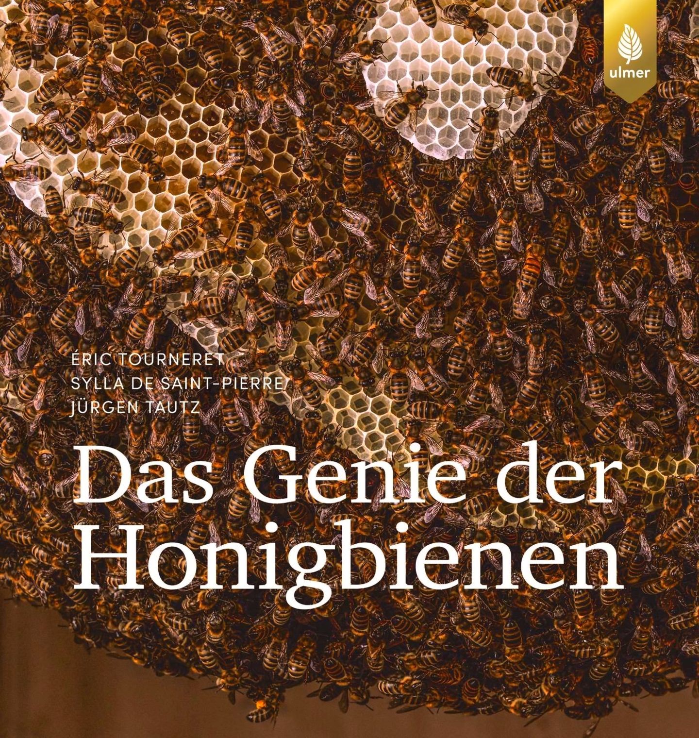 Viele weitere spektakuläre Fotos vom französischen Fotografen Eric Tourneret über das Leben der Bienen gibt es in dem großformatigen Bildband "Das Genie der Honigbienen". Tourneret ist nicht nur Fotograf, er hält selbst Bienenvölker. Seinen Bildern ist diese Liebe deutlich anzumerken.  "Das Genie der Honigbienen"  Von Eric Tourneret, Sylla de Saint-Pierre, Jürgen Tautz  255 Seiten / 49.95 Euro