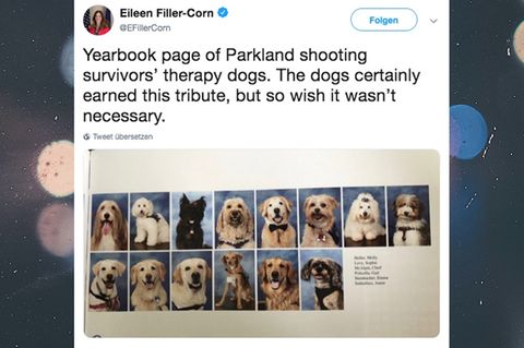 Parkland-Amoklauf: Therapie-Hunde bekommen eigene Fotos im Jahrbuch