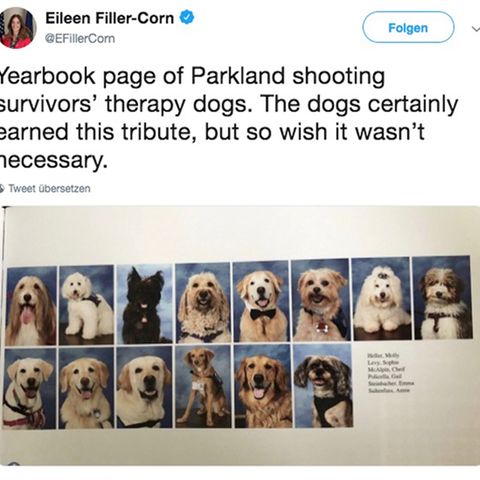 Parkland-Amoklauf: Therapie-Hunde bekommen eigene Fotos im Jahrbuch